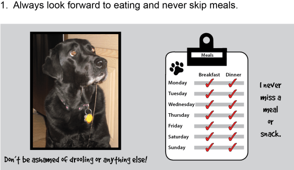 Abby Drool_ Meal Chart3
