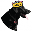 Abby with Abby Crown_no background