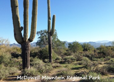 McDowell Views_R