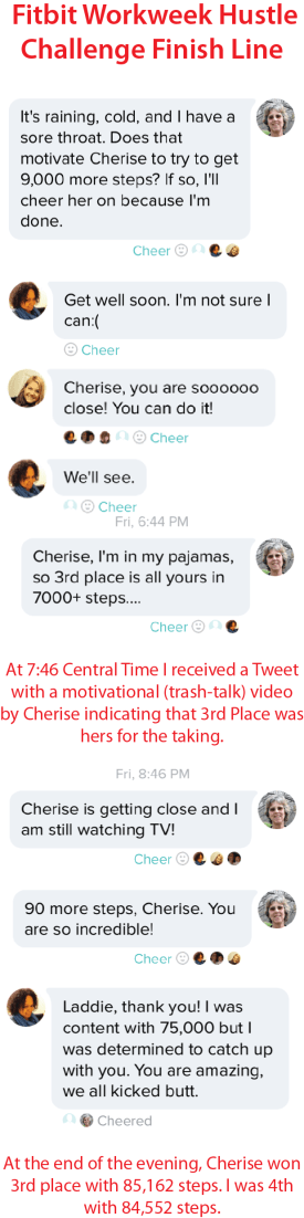 Fitbit Challenge Timeline